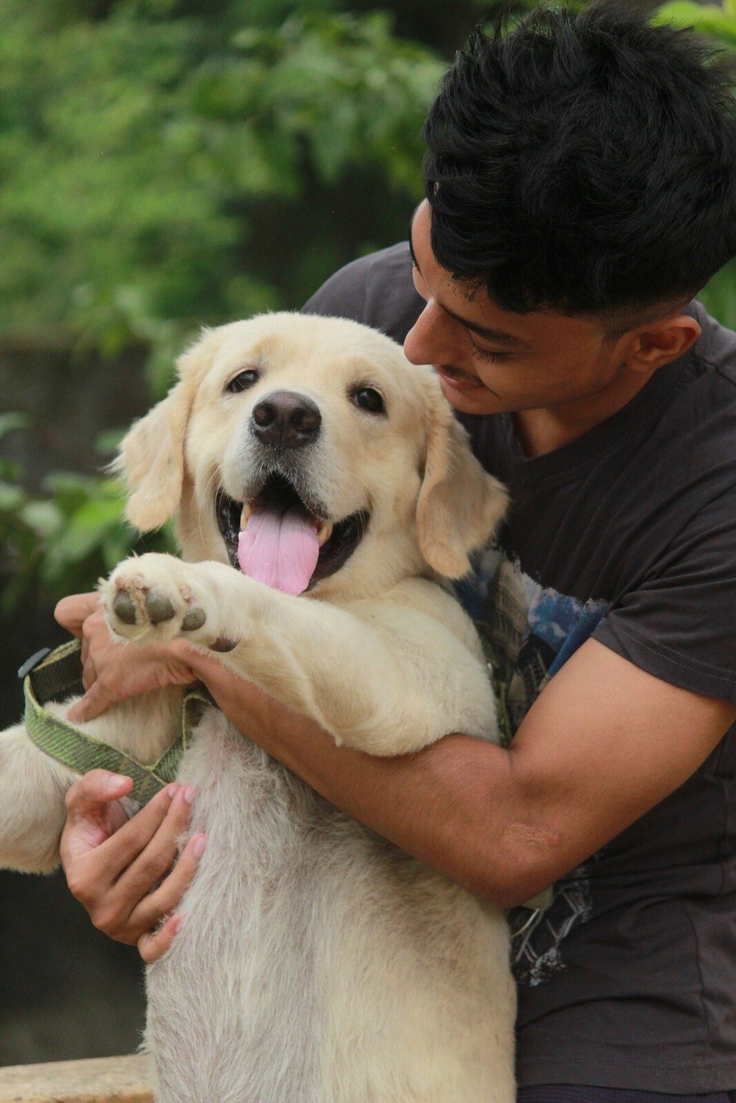 chien affectueux