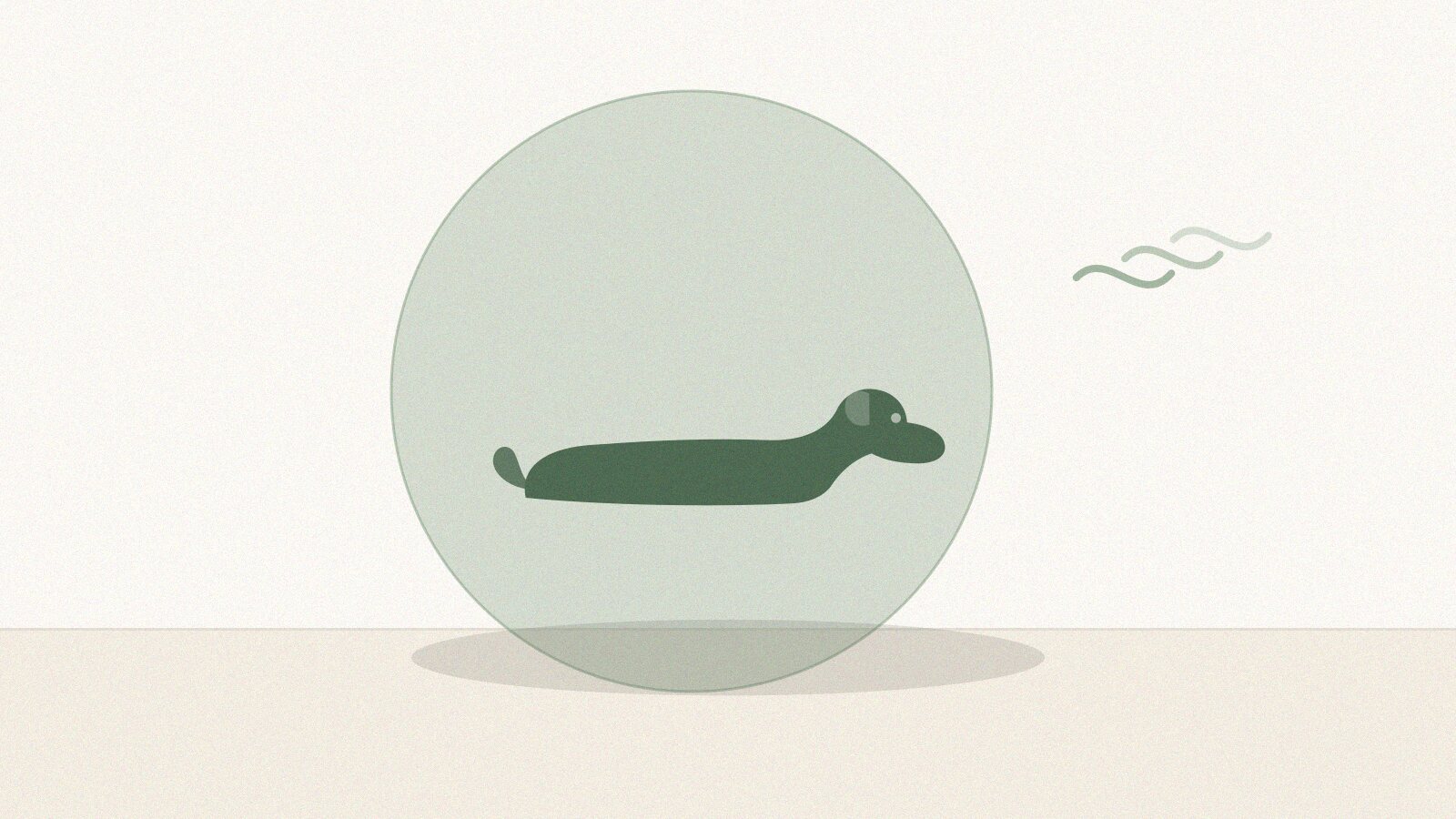 Chien âgé couché sur un tapis